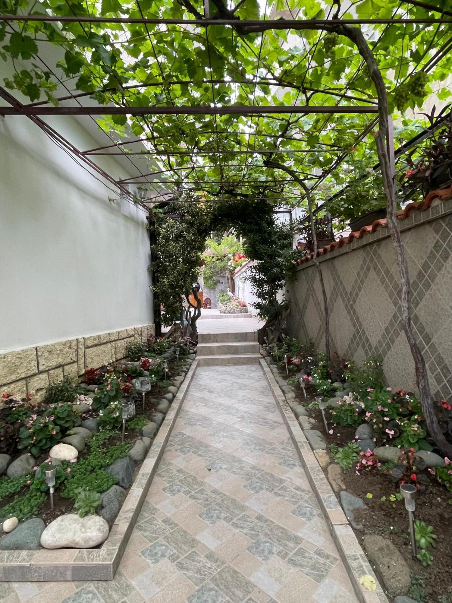 Sarievi Holiday Home ツァレヴォ エクステリア 写真