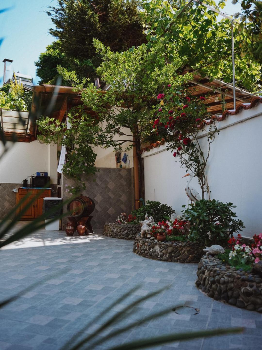 Sarievi Holiday Home ツァレヴォ エクステリア 写真